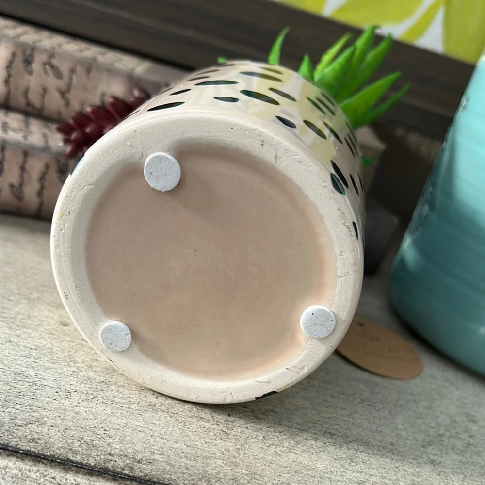 Polka Dot cheetah Planter with Succulents